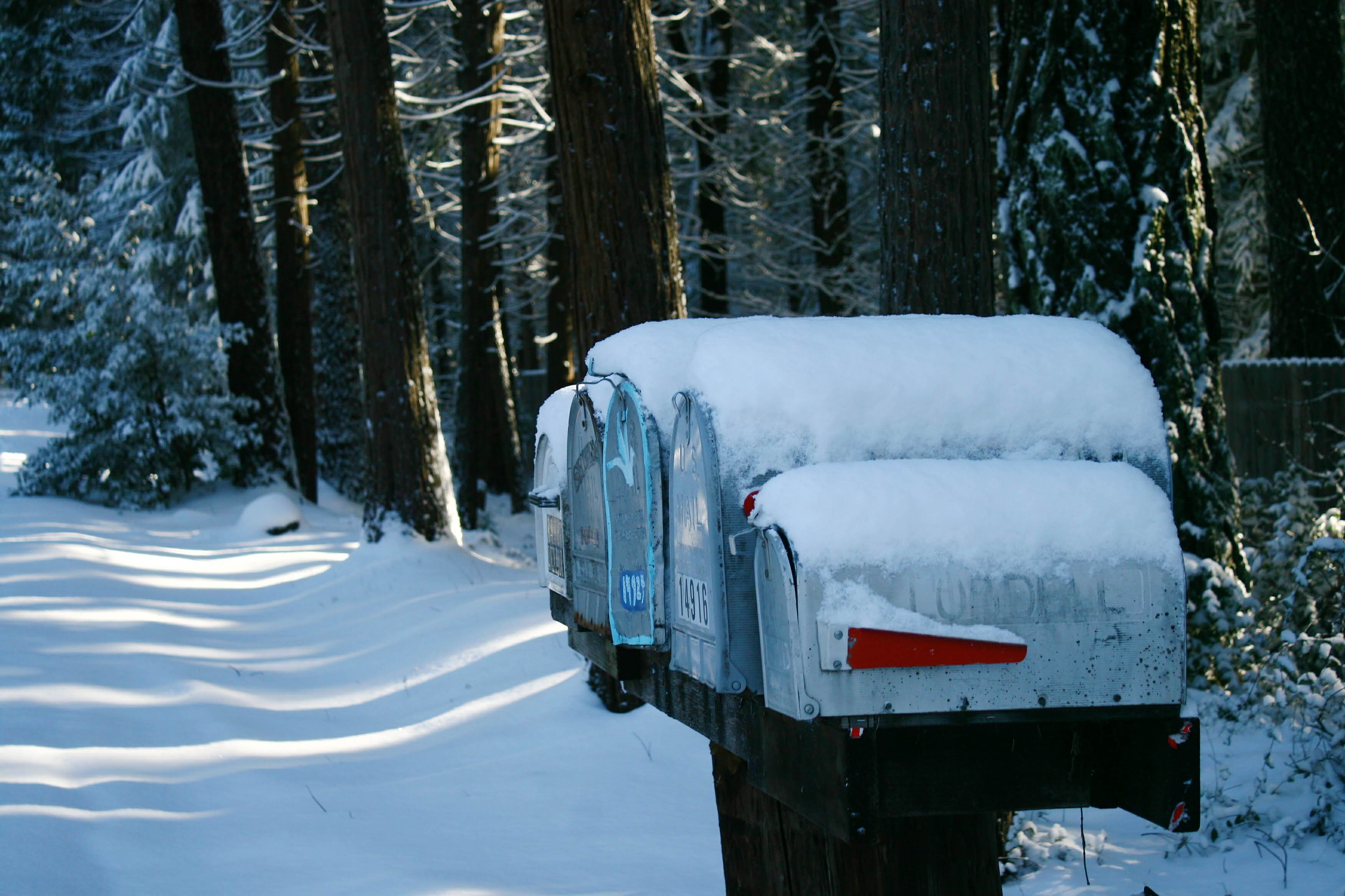 Processed with VSCO with  preset