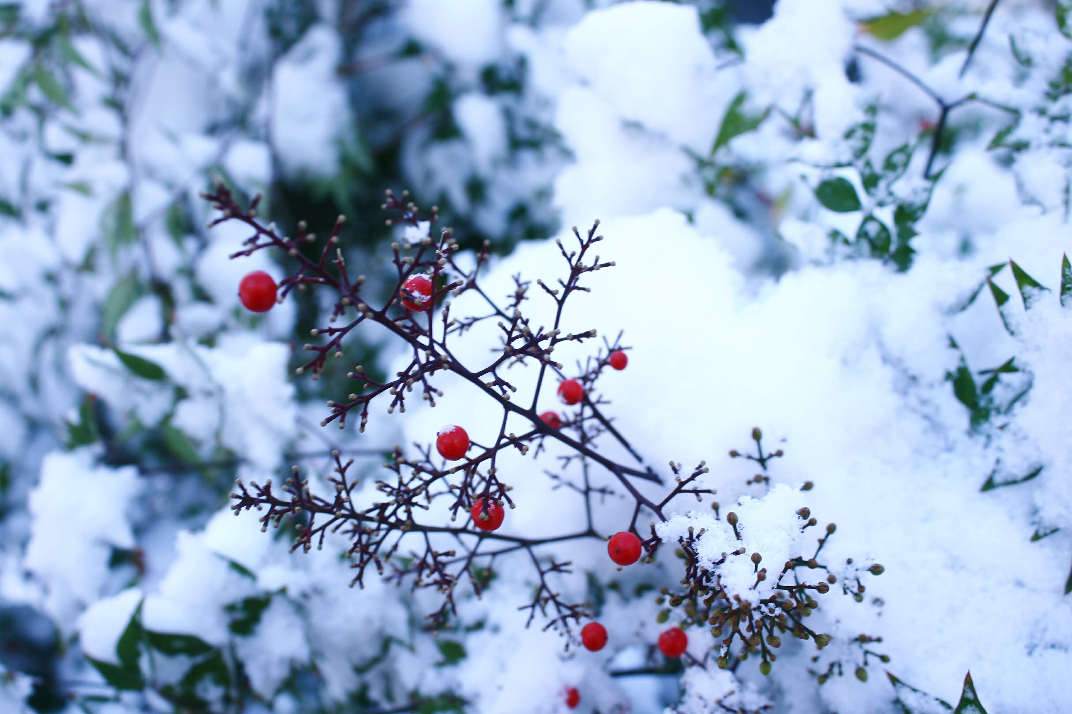 Processed with VSCO with  preset